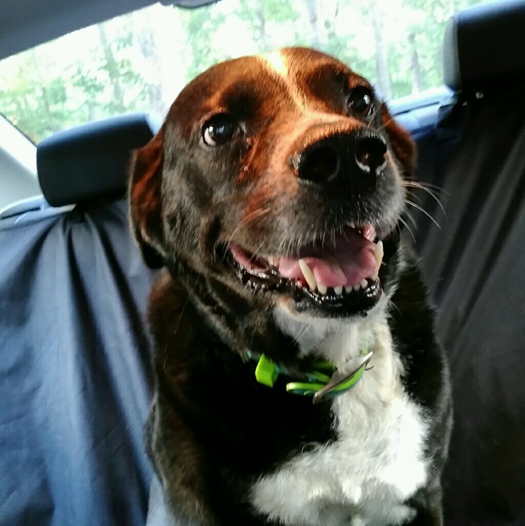 Meet your Posher, Monica - Picture 1 of 1